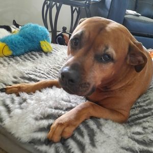 Meet your Posher, Wendy